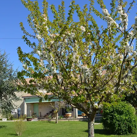 Penzion Le Coteau De Bazeille Sauna&detente Sas Sainte-Bazeille