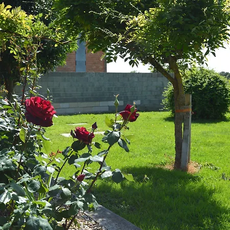 בית הארחה Le Coteau De Bazeille Sauna&detente Sas