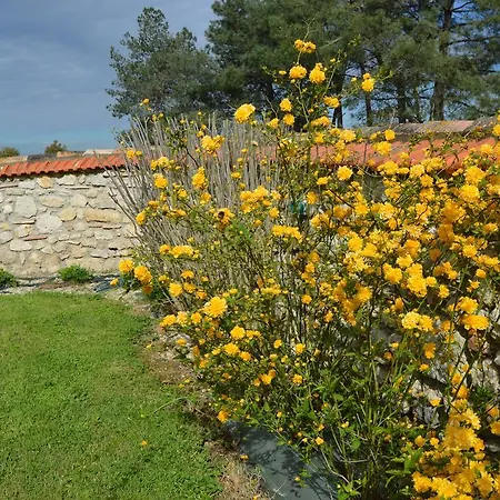 Le Coteau De Bazeille Spa&sauna Maison d'hôtes Sainte-Bazeille