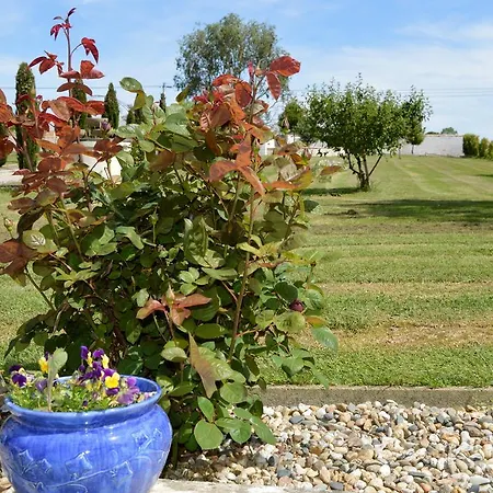 Guest house Le Coteau De Bazeille Sauna&detente Sas Sainte-Bazeille