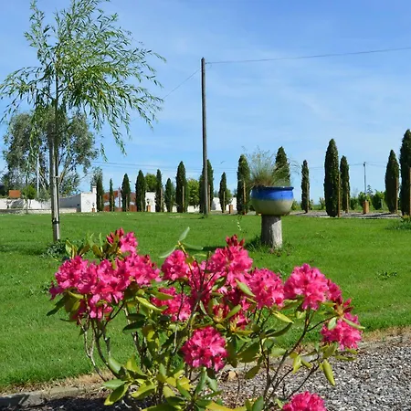 Le Coteau De Bazeille Sauna&detente Sas Penzion Sainte-Bazeille