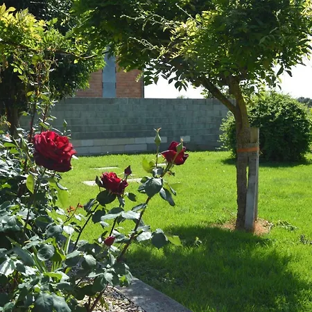 Le Coteau De Bazeille Sauna&detente Sas Guest house 5*