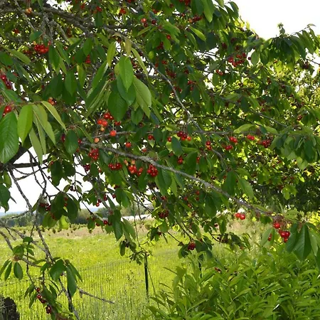 Le Coteau De Bazeille Sauna&detente Sas 5*