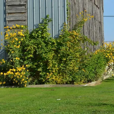 בית הארחה Le Coteau De Bazeille Sauna&detente Sas 5*