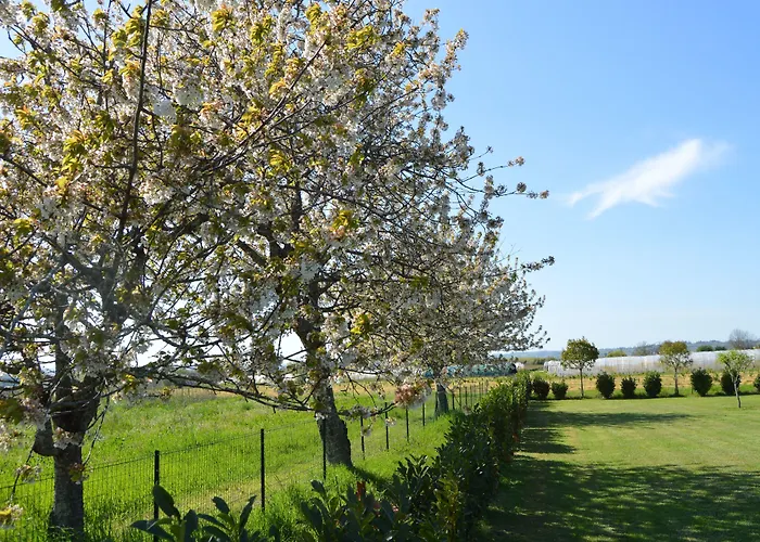בית הארחה Le Coteau De Bazeille Sauna&detente Sas Sainte-Bazeille