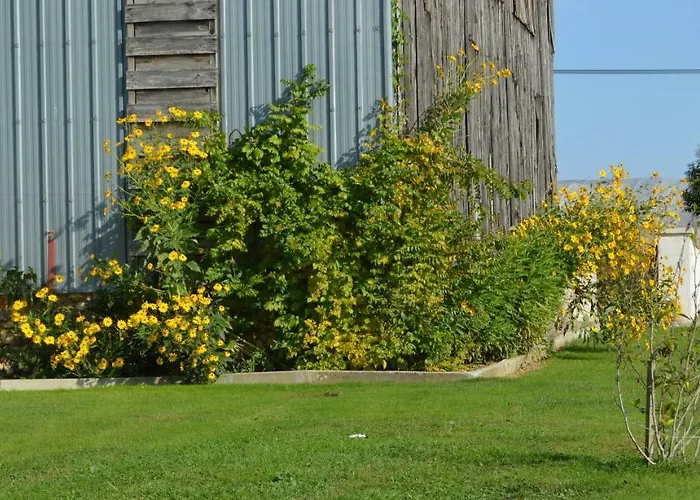 בית הארחה Le Coteau De Bazeille Sauna&detente Sas 5*